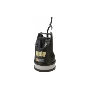 pompe_electrique_submersible_monophasee_pxl-25_worms_1138198748