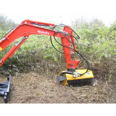 capture_dcran_2025-03-11_140254