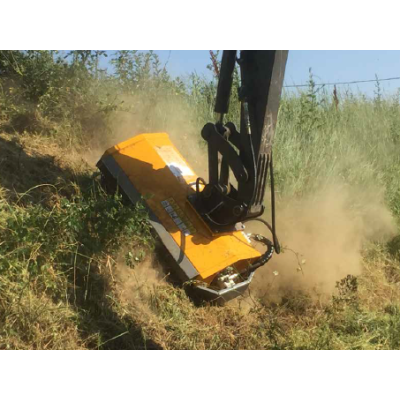 capture_dcran_2025-03-11_141345