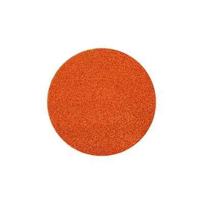 eponge_nautilo-dry-wet