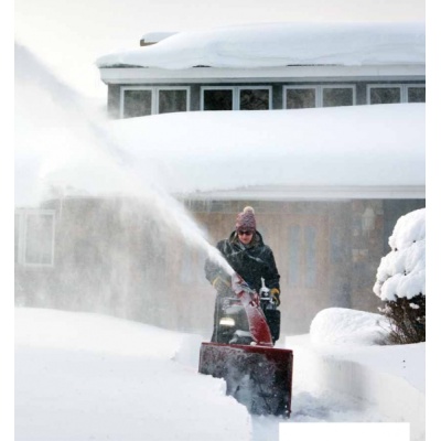 fraise-a-neige_powermax-2