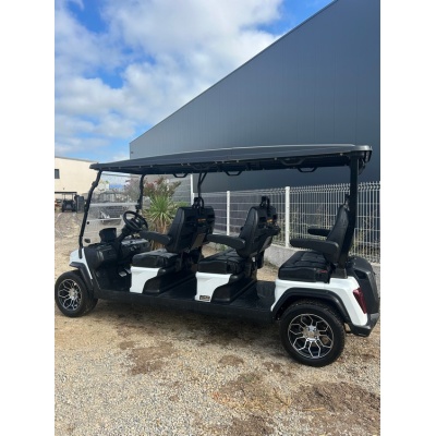 golfette_electrique_hdk_occasion_3