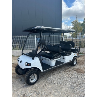 golfette_electrique_hdk_occasion_32