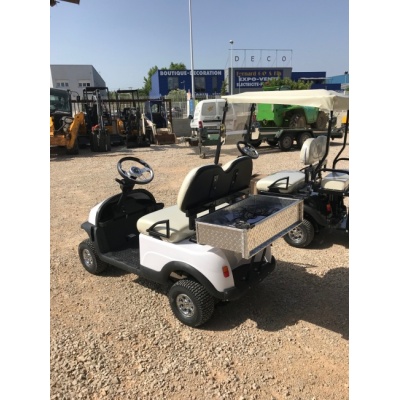 golfette_ezyfrog_d2_2019_2