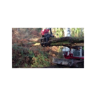 grapple7-300x168_572826303