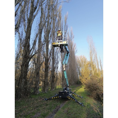 imr20da_gal14-scaled