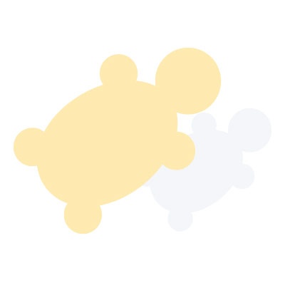 support_auto_nivellant