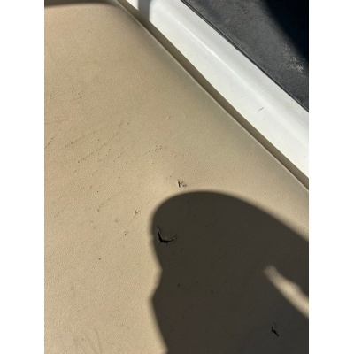 voiturette_de_golf_electrique_club_car_precedent_50