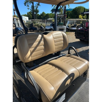 voiturette_de_golf_electrique_ezgo_rxv_19