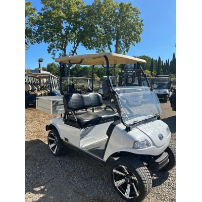 voiturette_de_golf_electrique_hdk_50